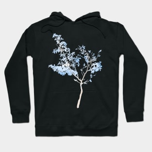 Blue Watercolour Tree Hoodie